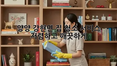 양양 강현면 집 청소 서비스: 저렴하고 깨끗하게!